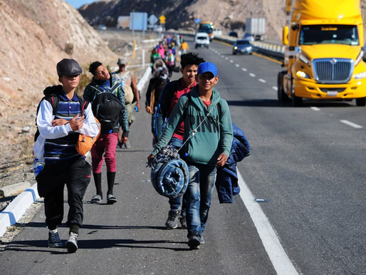 Empresas de autobuses ya no podrán exigir identificación y estatus migratorio de pasajeros tras fallo de tribunal federal