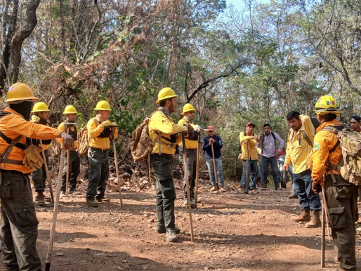 Incendio forestal en Michoacán, suman 140 en lo que va de 2026
