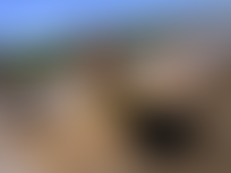 Arranca plan de remediación del río Sonora; Grupo México tendrá que cubrir 70% del costo