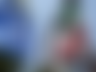 PAN y PRI gastan millones de pesos para posicionarse como marcas comerciales