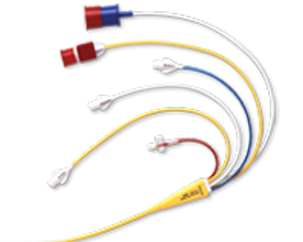 cco_pulmonary (1).png