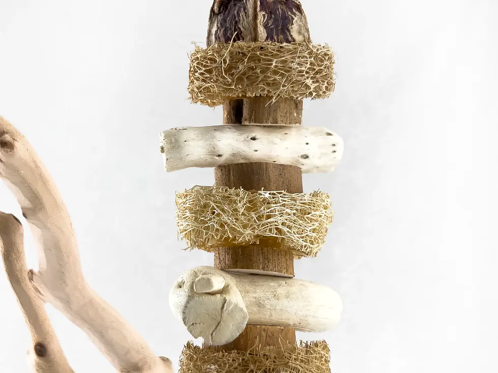 Small parrot toy and natural bird shredding toy made of mahogany pod slices, loofah, gobi tail, sola slices, wood beads.