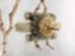 A seagrass bird toy and natural chew toy for parrots, made of sea grass bundles, cork, wood beads, whole corn cob, palm.