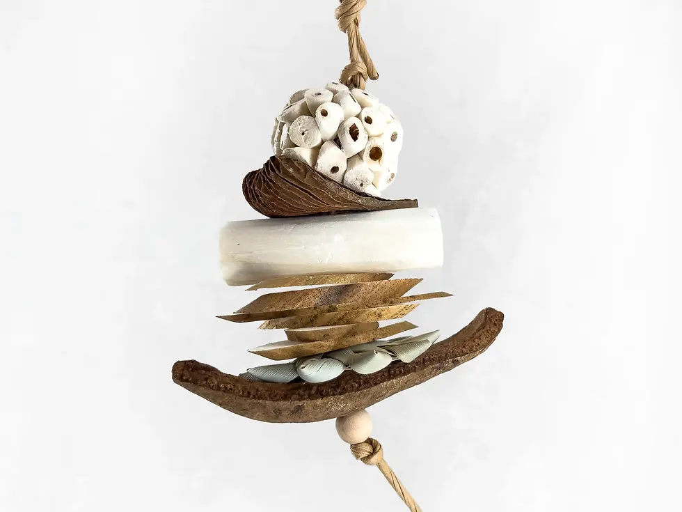 Thumbnail: Close-up of Aladdin’s Sola bird toy showing the soft texture of sola wood and durable mahogany pod stem.