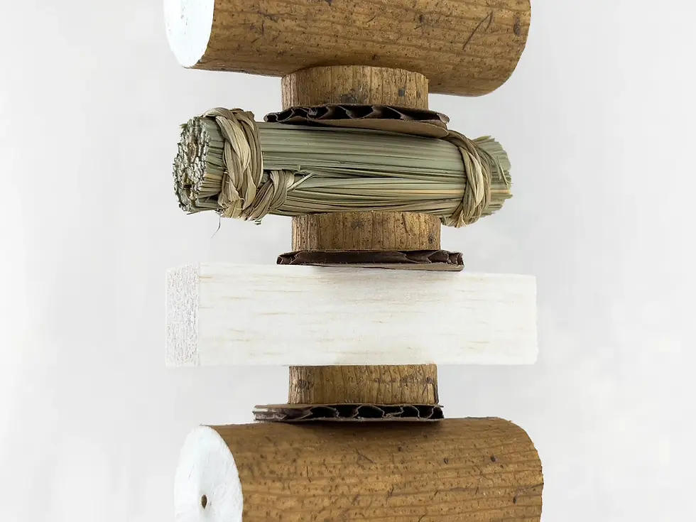 Thumbnail: Bird-safe balsa bird chew toy for preening, shredding, and mental stimulation in small to medium parrots.