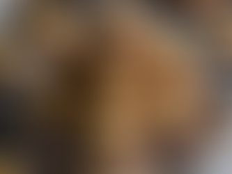 🧁 Mini muffins ultra moelleux aux pépites de chocolat