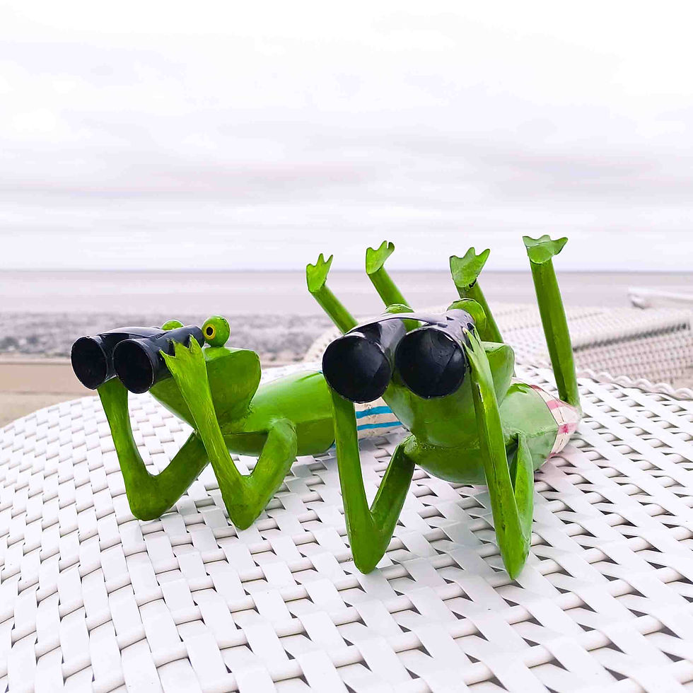 Miniaturbild: Liegender Voyeurfrosch