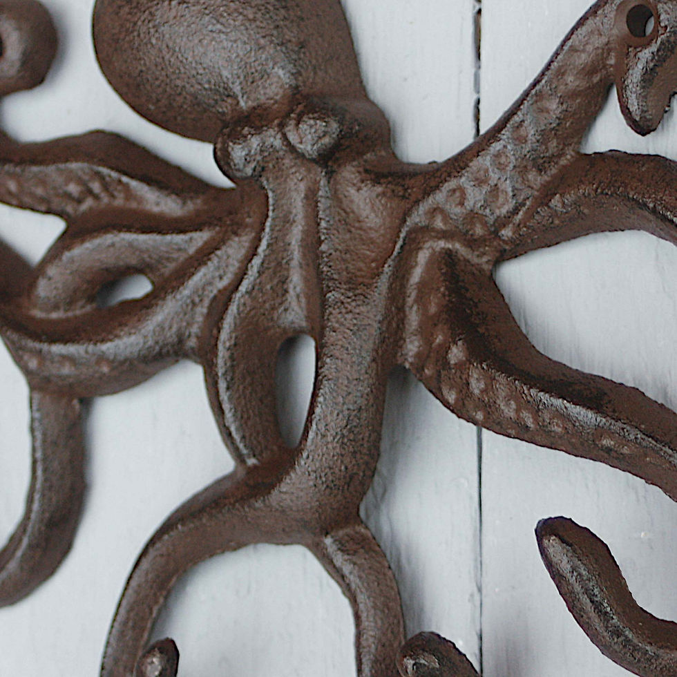 Miniaturbild: Hakenleiste Oktopus Braun