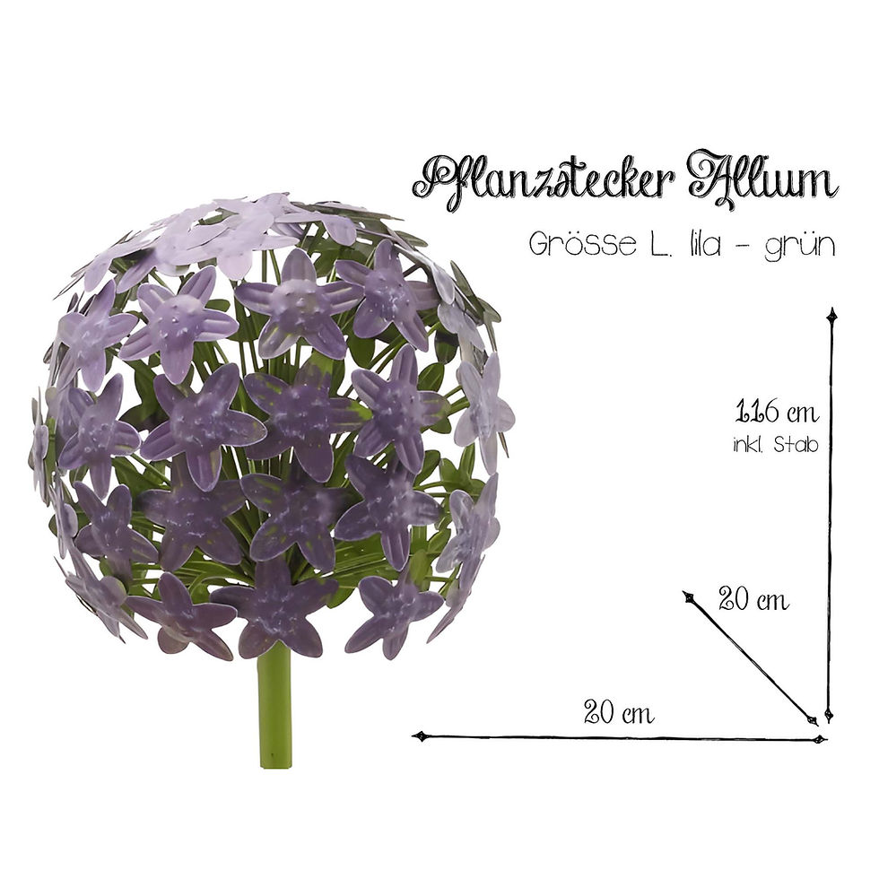 Miniaturbild: Pflanzstecker Allium Purple Grün