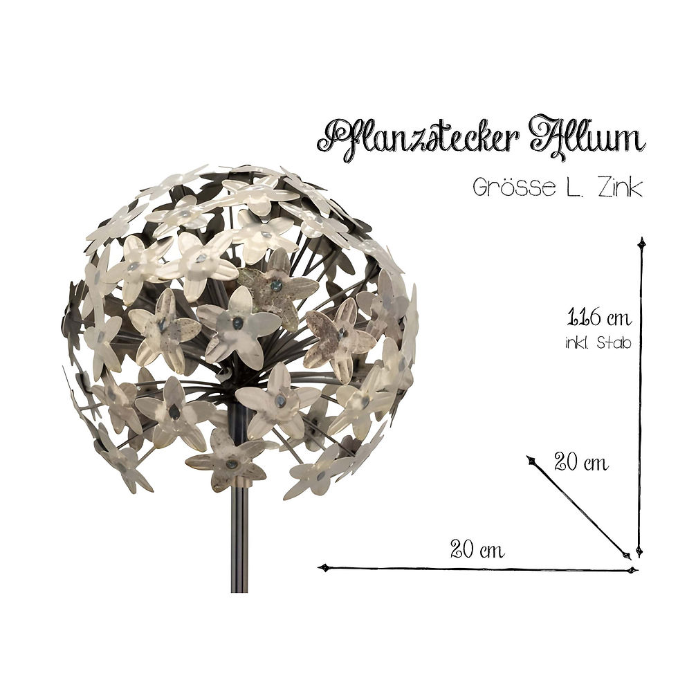 Miniaturbild: Pflanzstecker Allium Zink