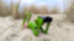 frosch_fernglas_titel.jpg