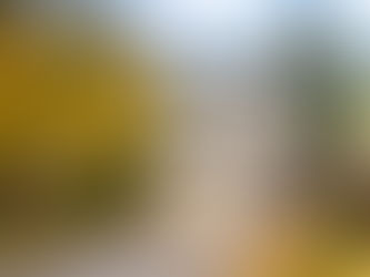 94 Macatee Place, Cambridge - SOLD!