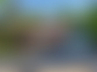 2408 Moser Young Road, St. Clements - SOLD!