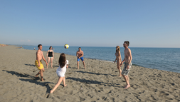 Where to Go: A Simple Guide to Prince Edward County Beaches
