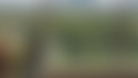 Blurred wine bottles indoors frame a sunny vineyard outside a window, with green rows stretching to distant hills.