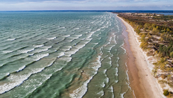 Aerial view of a windswept beach with green-blue waves, sandy shoreline, and trees under a cloudy sky.