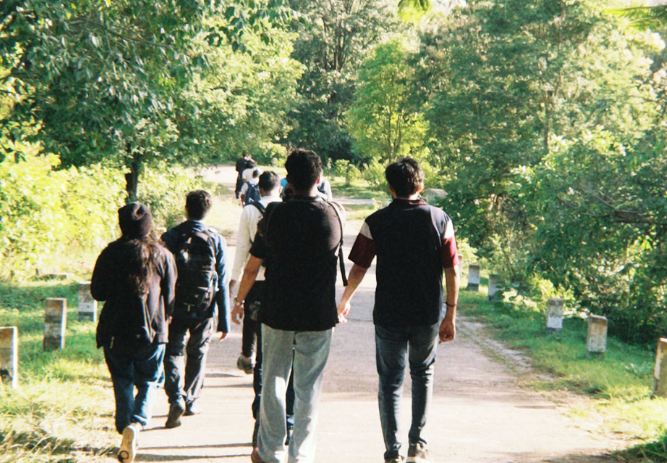 Several people walk away along a sunlit, tree-lined park path on a calm day.