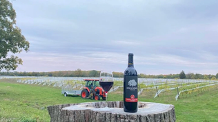 Wine bottle labeled Amandas and a glass on a tree stump overlook a vineyard with a tractor under a cloudy sky.