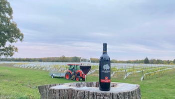 Wine bottle labeled Amandas and a glass on a tree stump overlook a vineyard with a tractor under a cloudy sky.