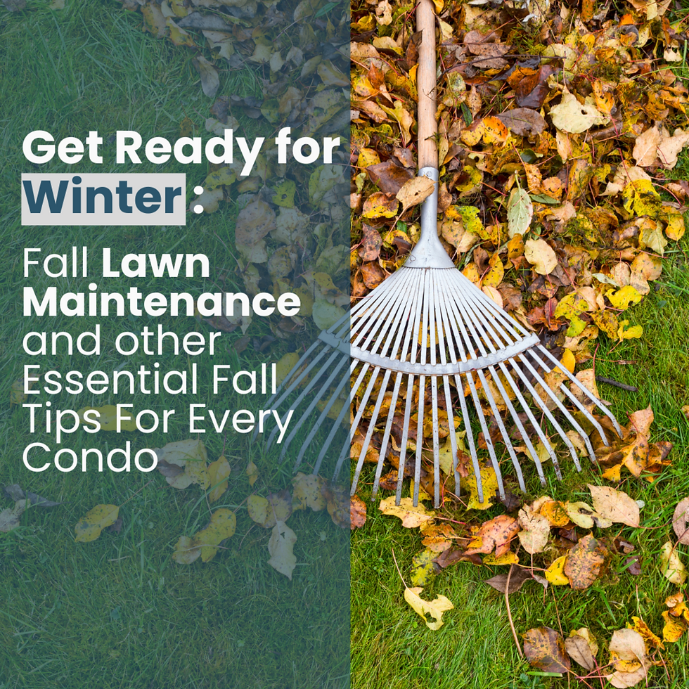 Get Ready for Winter: Fall Lawn Maintenance and other Essential Fall Tips For Every Condo
