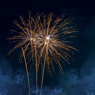 Stratastic’s Holiday Tips (SHOT): Ringing in the New Year Safely - Fireworks Regulations and Animal Awareness in your Condo / Strata