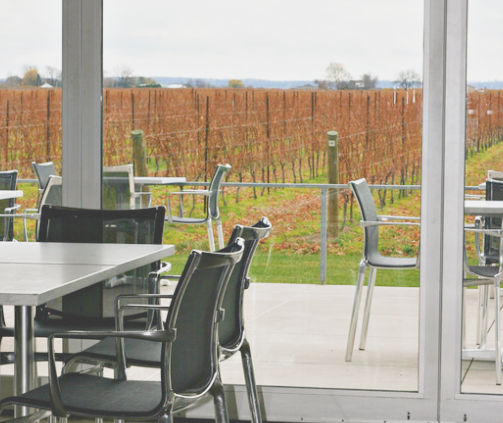 Empty patio with black chairs and tables overlooking an orange-brown vineyard in autumn under a cloudy sky