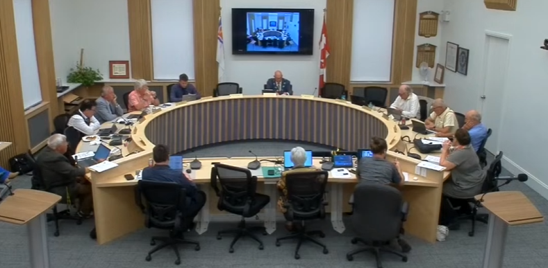 People seated around a circular table in a meeting room, with a screen displaying another room. Canadian flag visible. Professional setting.