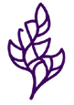 1_edited.png