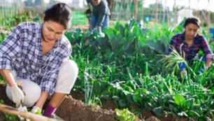 LMIA applications an employer’s responsibility