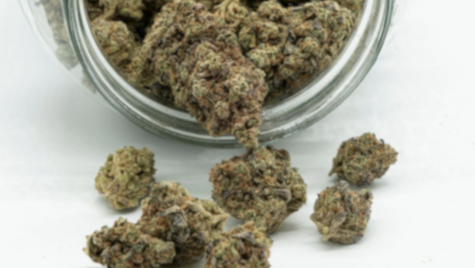 Promoting marijuana under the proposed Cannabis Act