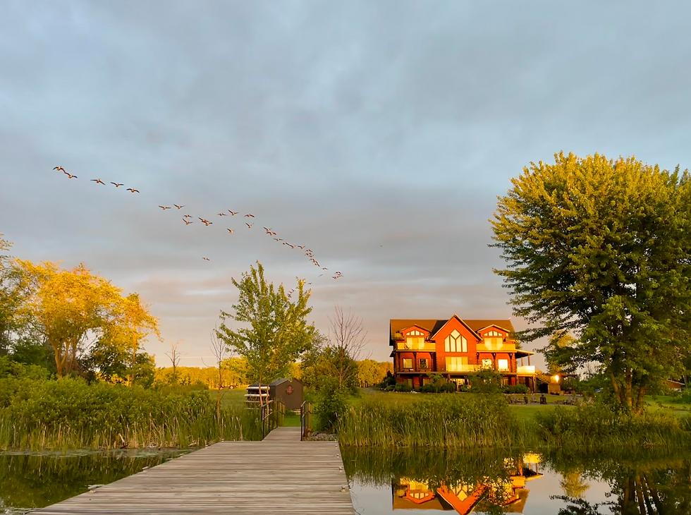 Flock of birds flies over a golden lakeside home and dock at sunset, with calm water reflecting trees and house.