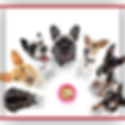 A picture of dogs around dog food.