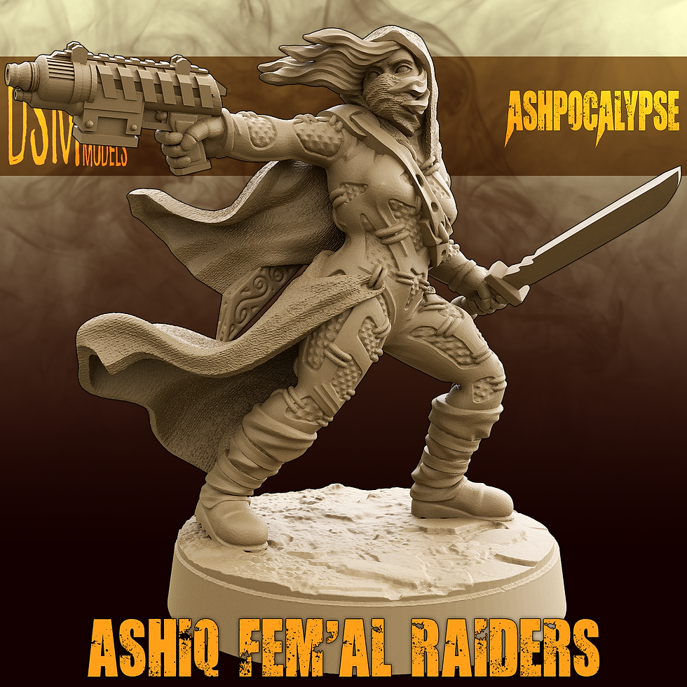Thumbnail: DSM Ashpocalypse Ashiq Fem'Al X10 28mm With Base.