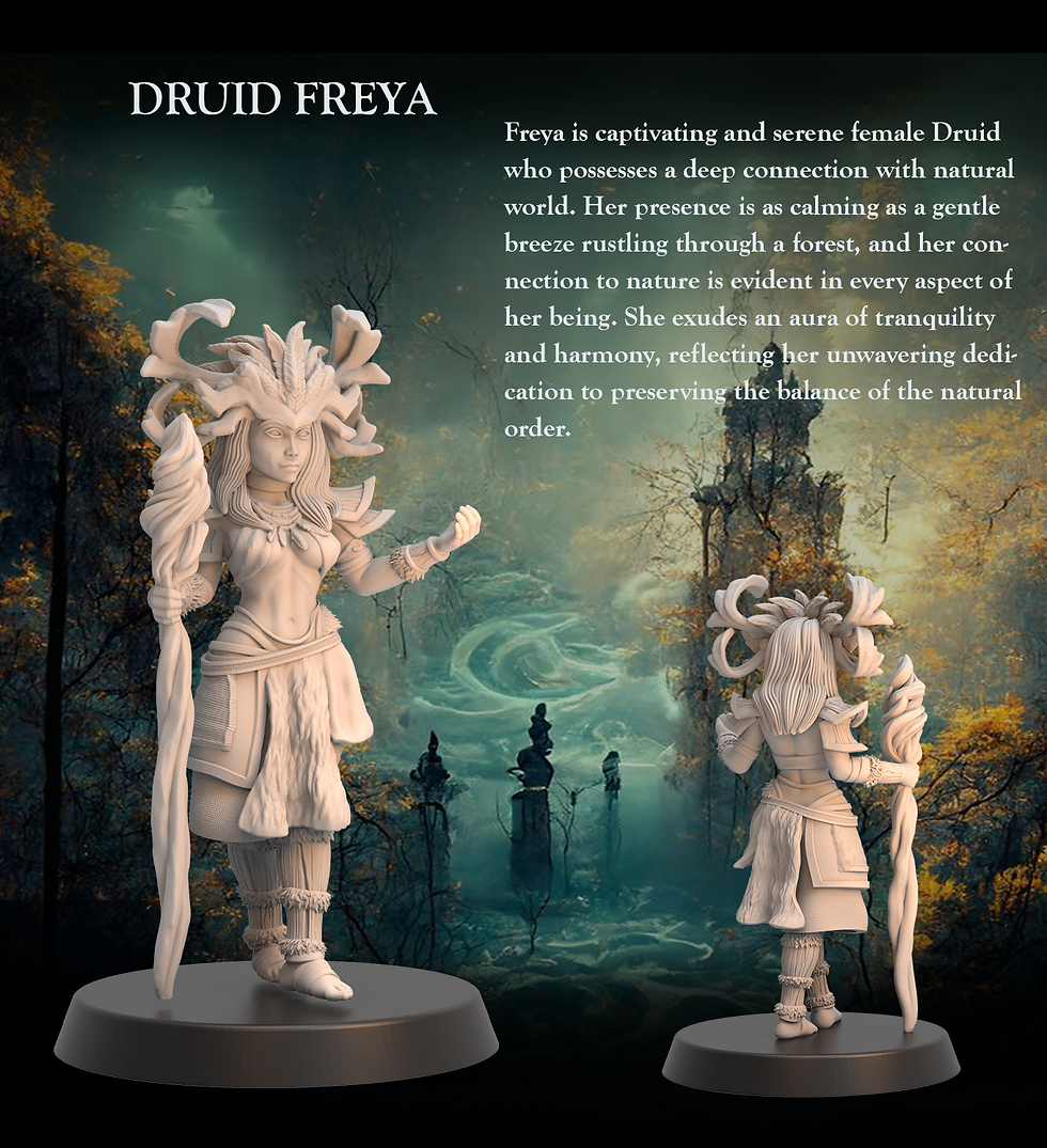 Druid Freya Fantasy Elves RKS 3D 32mm