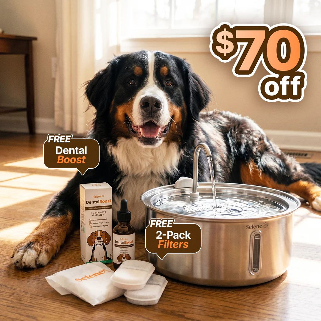The Doggy Fountain™.