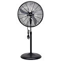 Standing Fan