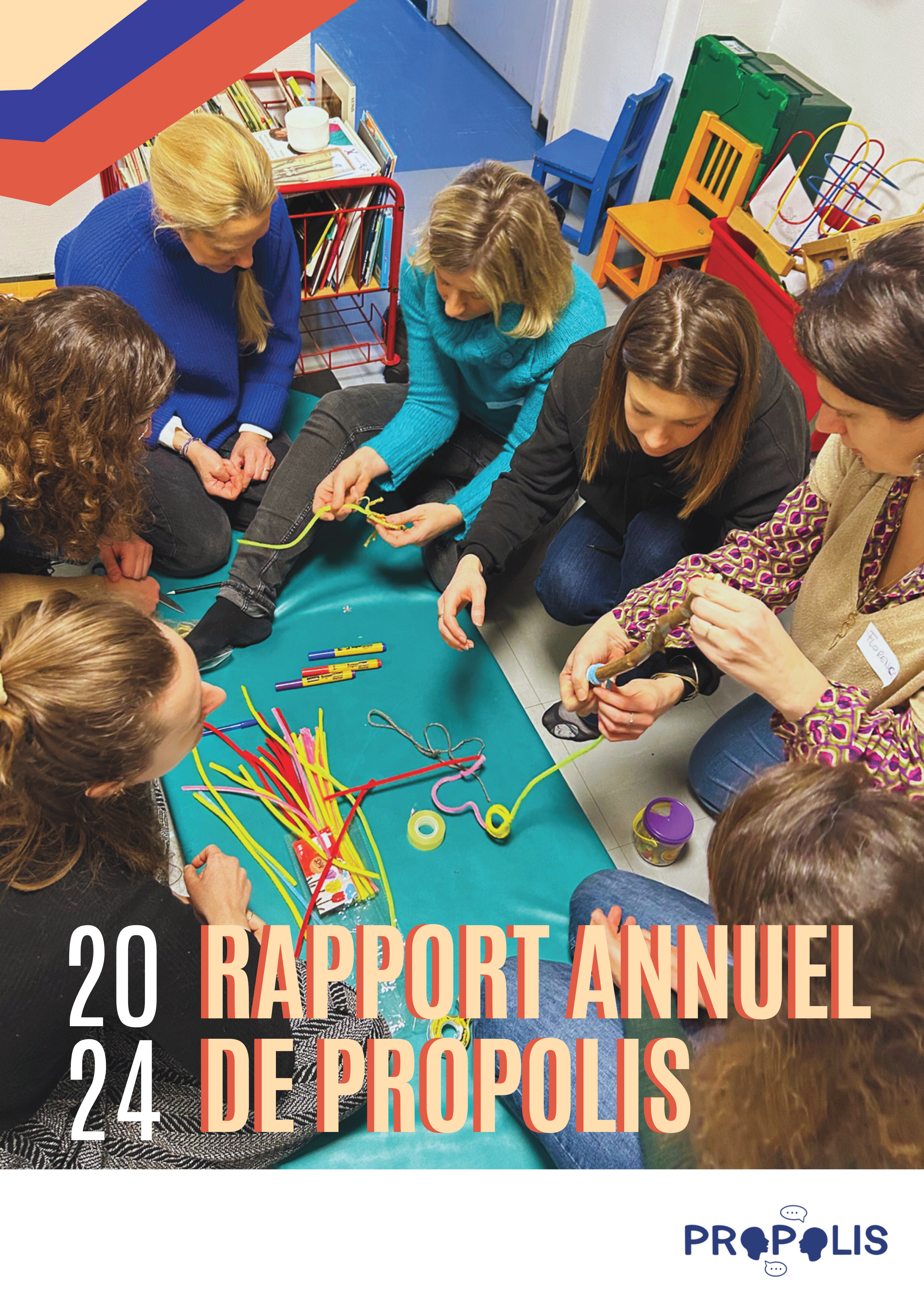 FR-2024 Propolis Rapport Annuel (1)-1.png