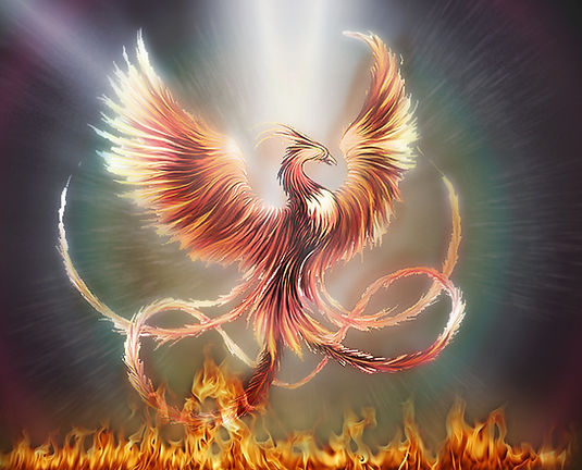 ave fenix.jpg