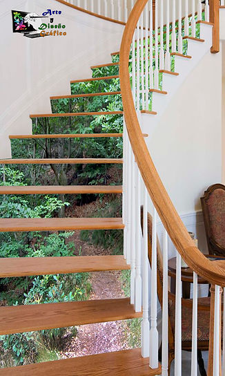 escalera con camino.jpg