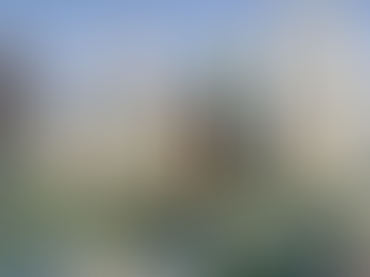 Các chính sách đặc thù áp dụng tại Trung tâm tài chính quốc tế