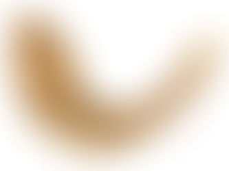 Rabbi’s Update 9/13/2023