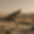 ree