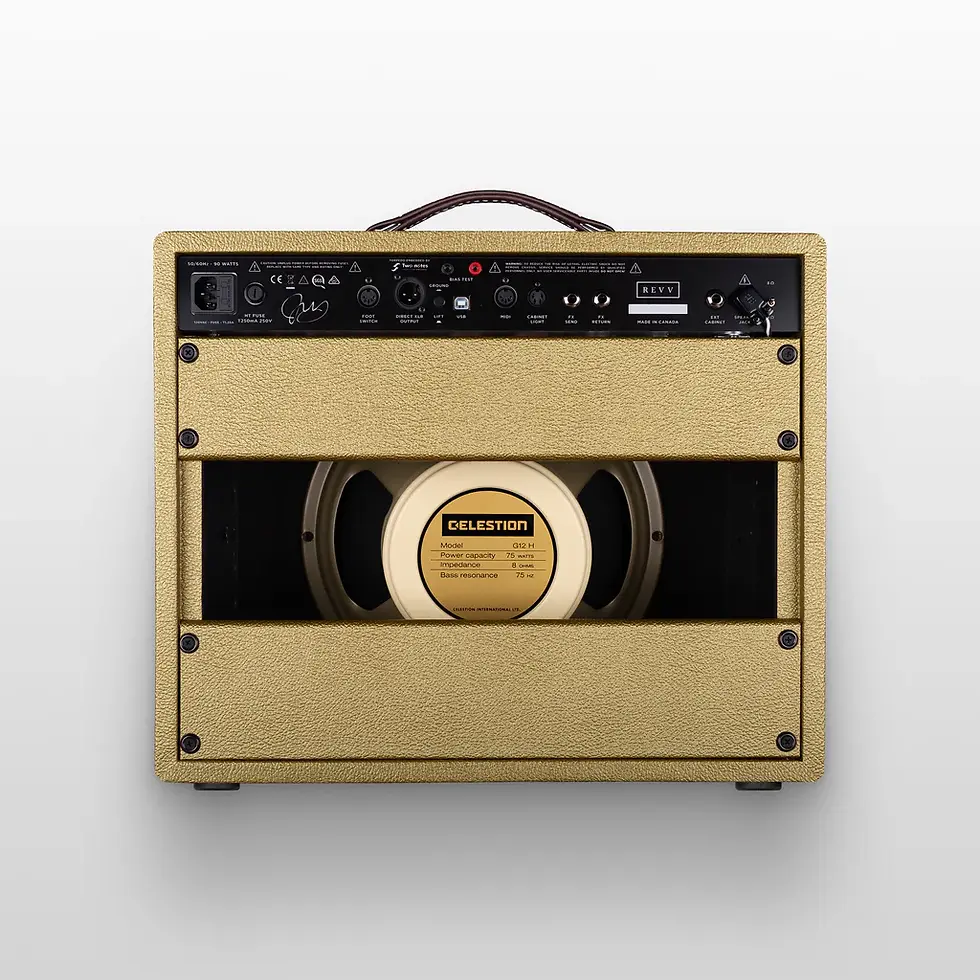 Thumbnail: D25 1X12 COMBO - Joey Landreth Edition