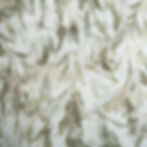 Thumbnail: Prado | Printed Sateen