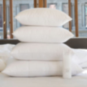 Lajord Canadian Down Pillow