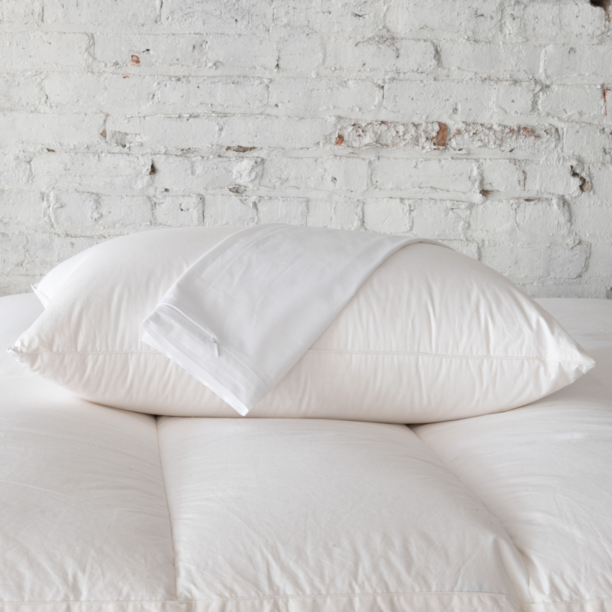 Allergy Pillow Protector