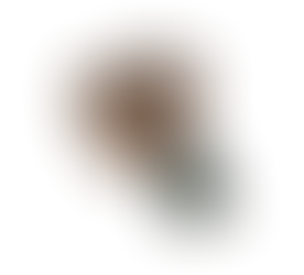 Two books: one very large with a mini cannon model and business card on top. The card states: Captain's Book Shoppe. A smaller green Webster's New Illustrated Dictionary.