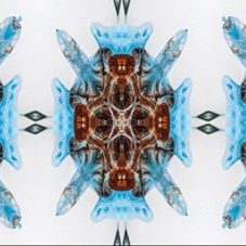 Composizione 2sw.gif