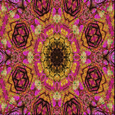 Composizione 2.gif