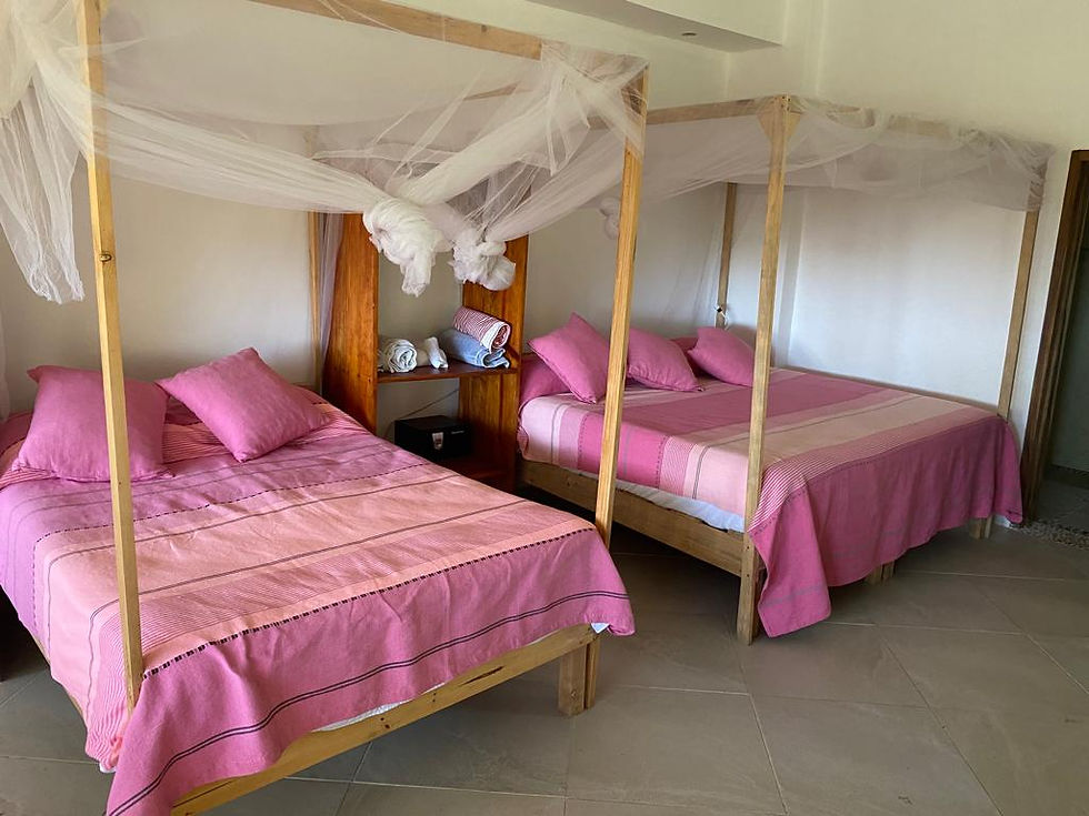 Miniatura: BUNGALOW BIOIGUANA - Ocupación Cuádruple con Vista al Bosque+ Alimentos + Retiro